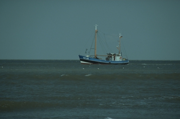 f069n18b
