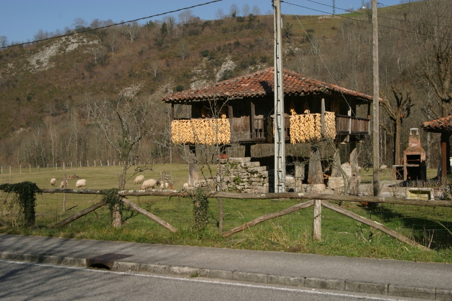 crw 14881 rj